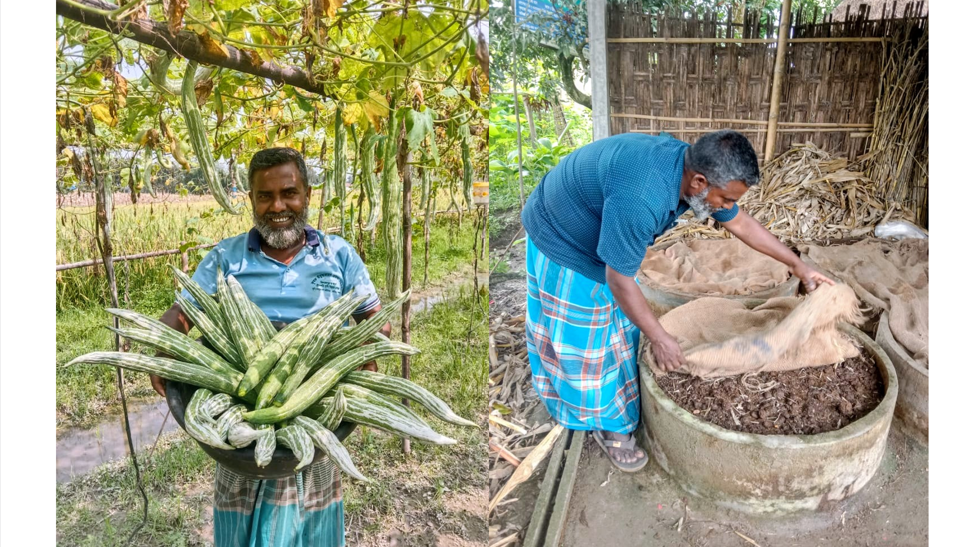 পঞ্চগড়ে ভার্মি কম্পোস্টে কমছে খরচ, বাড়ছে লাভ